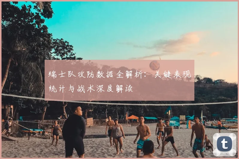 瑞士队攻防数据全解析:关键表现统计与战术深度解读